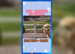 吃瓜娱乐频道官网入口,畅享热门资讯，轻松掌握娱乐圈动态